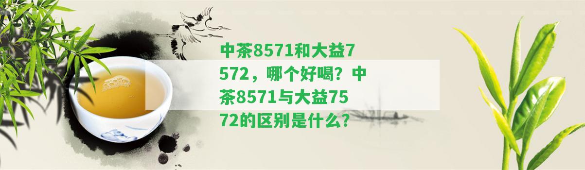 中茶8571和大益7572，哪個好喝？中茶8571與大益7572的區(qū)別是什么？