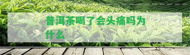 普洱茶喝了會(huì)頭痛嗎為什么