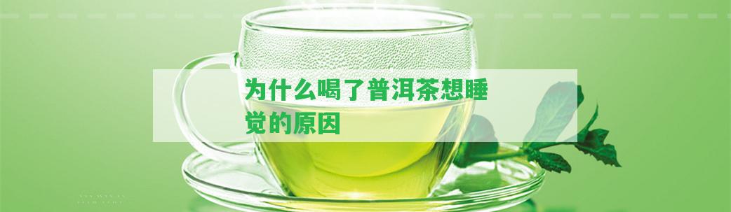 為什么喝了普洱茶想睡覺的起因