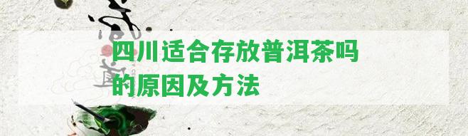 四川適合存放普洱茶嗎的起因及方法