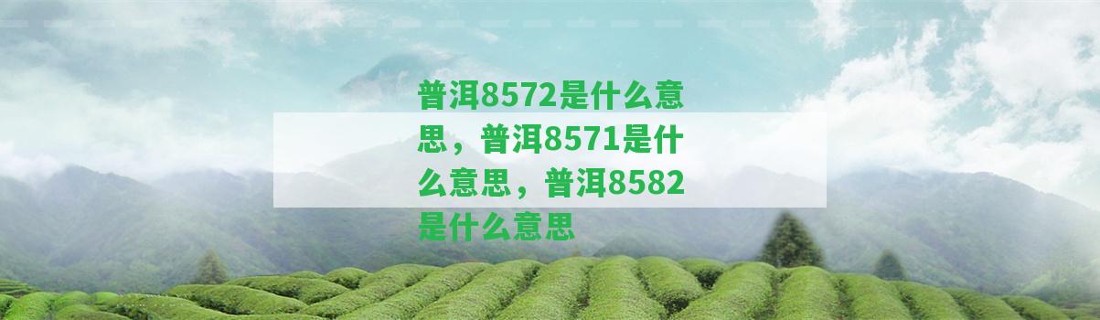 普洱8572是什么意思，普洱8571是什么意思，普洱8582是什么意思