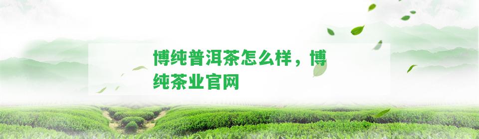 博純普洱茶怎么樣，博純茶業(yè)官網(wǎng)