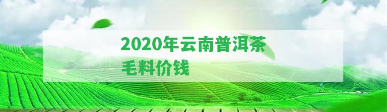 2020年云南普洱茶毛料價錢