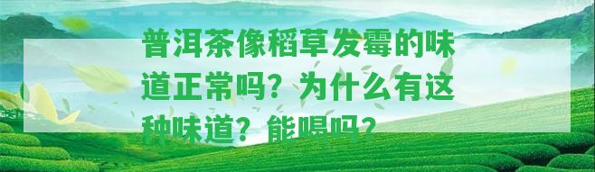 普洱茶像稻草發(fā)霉的味道正常嗎？為什么有這類味道？能喝嗎？