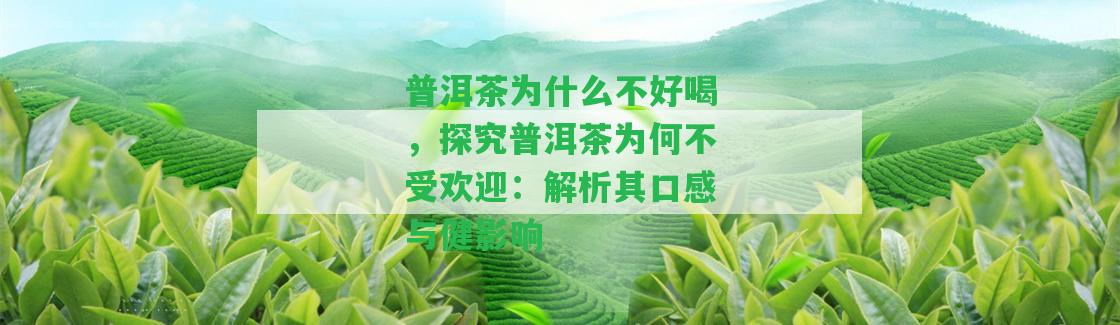 普洱茶為什么不好喝，探究普洱茶為何不受歡迎：解析其口感與健影響