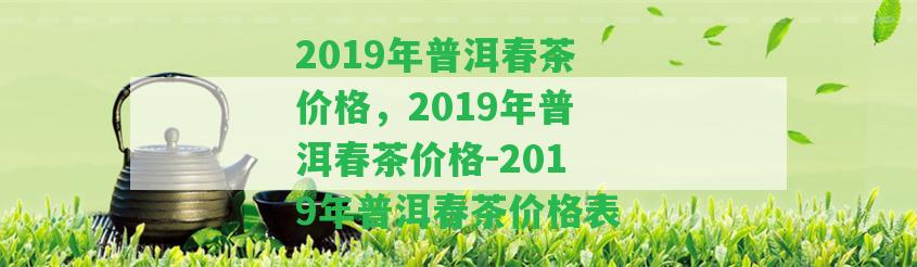 2019年普洱春茶價格，2019年普洱春茶價格-2019年普洱春茶價格表