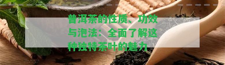 普洱茶的性質(zhì)、功效與泡法：全面了解這種獨特茶葉的魅力