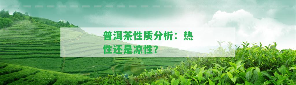 普洱茶性質(zhì)分析：熱性還是涼性？