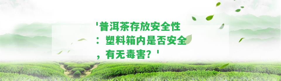 '普洱茶存放安全性：塑料箱內是否安全，有無(wú)毒害？'