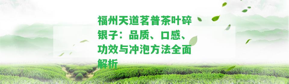 福州天道茗普茶葉碎銀子：品質(zhì)、口感、功效與沖泡方法全面解析