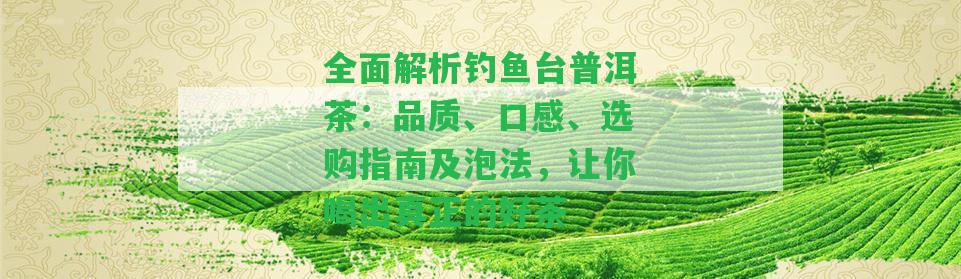 全面解析釣魚(yú)臺普洱茶：品質(zhì)、口感、選購指南及泡法，讓你喝出真正的好茶