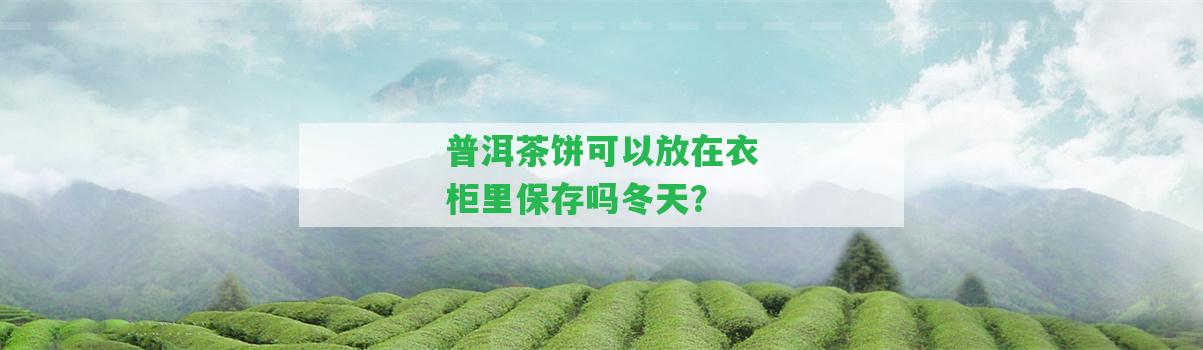 普洱茶餅可以放在衣柜里保存嗎冬天？