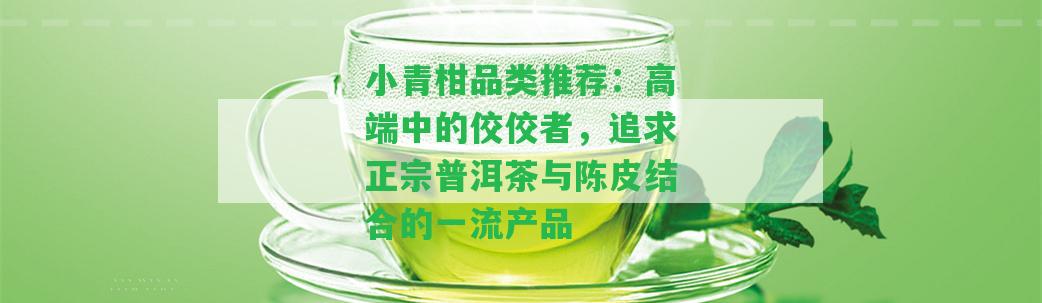 小青柑品類推薦：高端中的佼佼者，追求正宗普洱茶與陳皮結(jié)合的一流產(chǎn)品