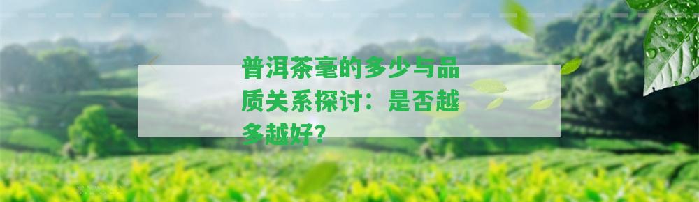 普洱茶毫的多少與品質(zhì)關(guān)系探討：是否越多越好？