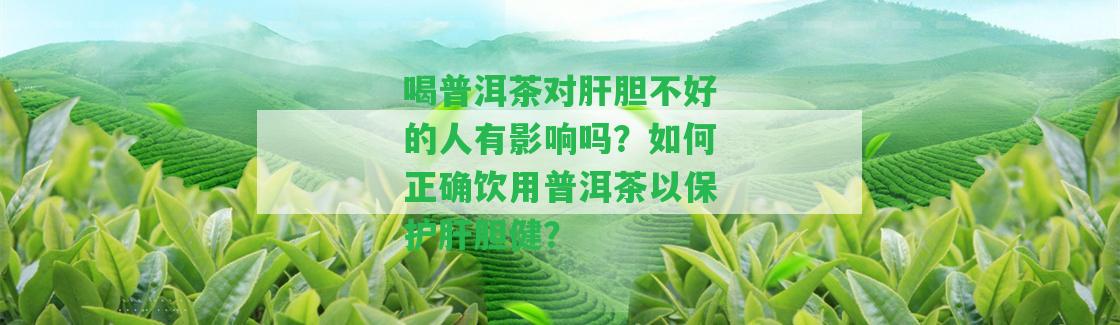 喝普洱茶對肝膽不好的人有影響嗎？如何正確飲用普洱茶以保護肝膽健？