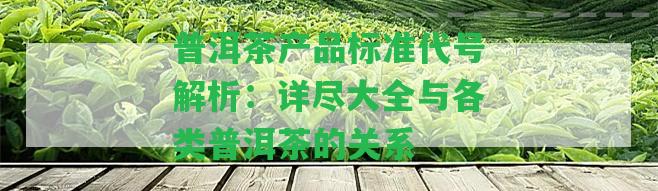 普洱茶產(chǎn)品標(biāo)準(zhǔn)代號解析：詳盡大全與各類普洱茶的關(guān)系